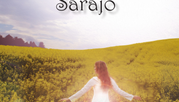 Buch: Die Weise von Sarajo 795379